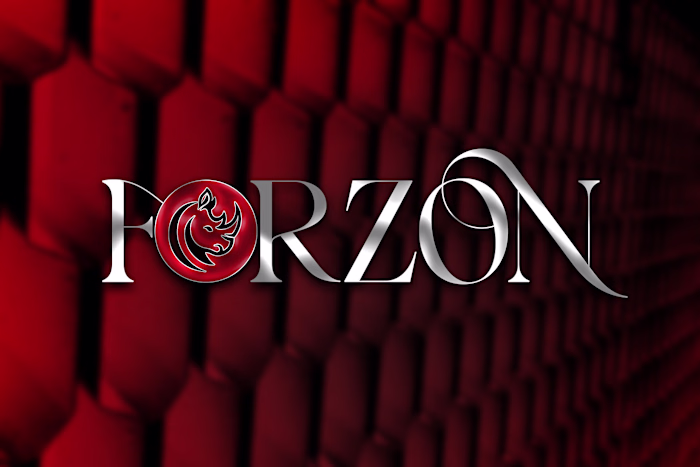 3D Metalic logo Design