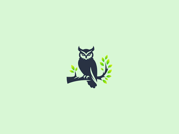 Owl Logo Available For Purchase