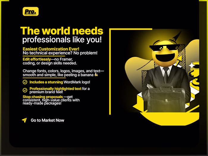 Professional | Best Assets For Freelancers & Solo-Entrepreneurs!