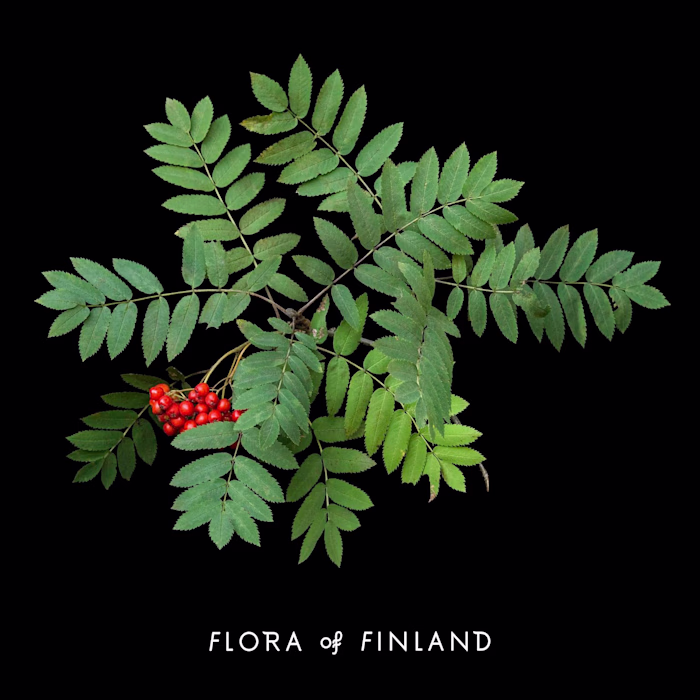 I worked at Flora of