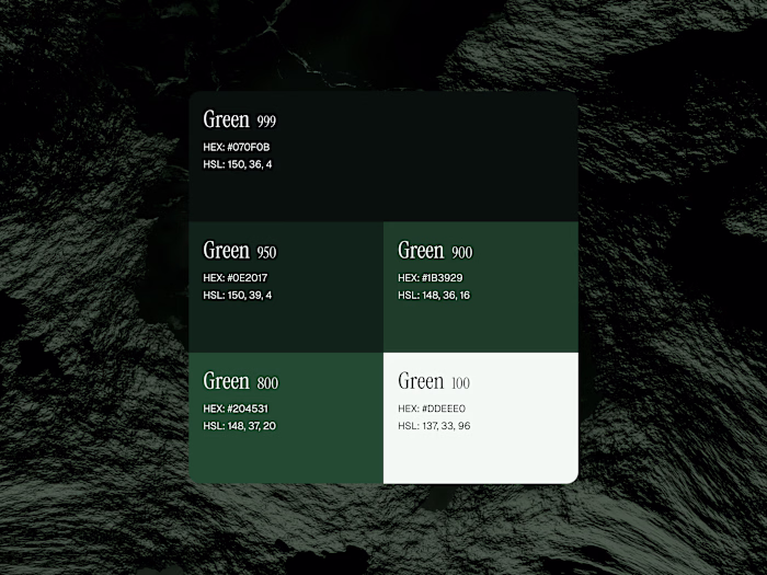 Branding for 2026 - Branding & Colours Highlighting the luxu...