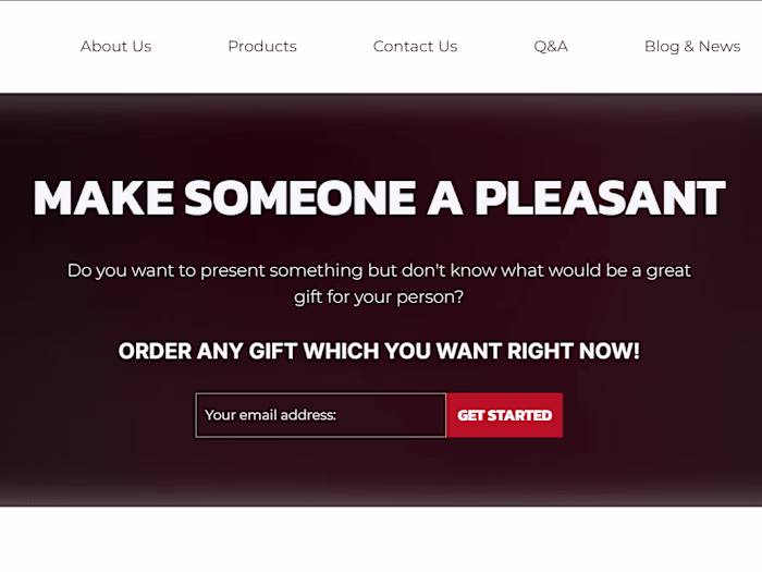 Website Development - Online Shop