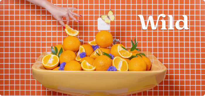 Email copy for Wild - with Magnet Monster