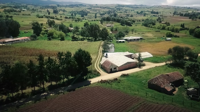 CAFÉ SELLO ROJO - Ginna Jiménez 