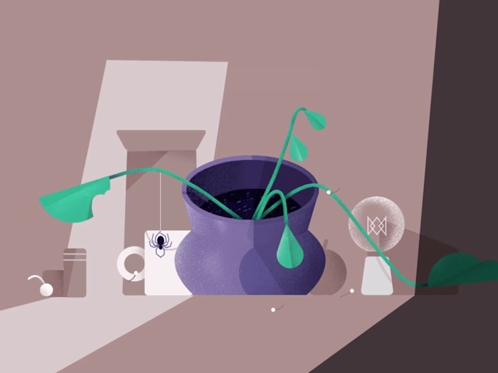 Seed and stem - YouTube