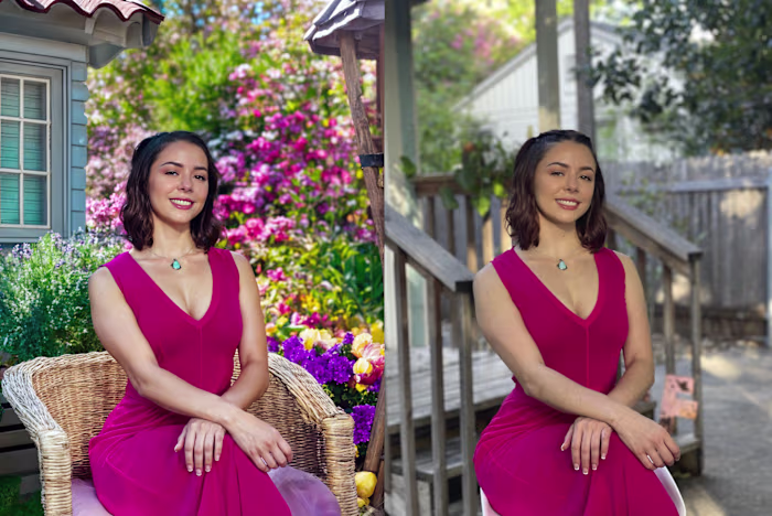 Image Editing / Photo Manipulation