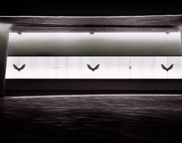 White Roc - Technology Company Brand Identity