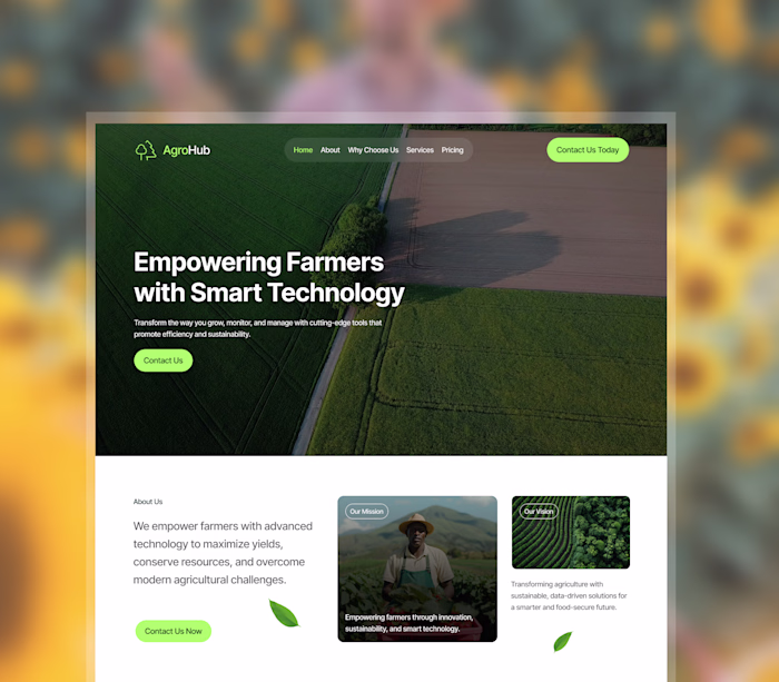 AgroHub Website Design Project