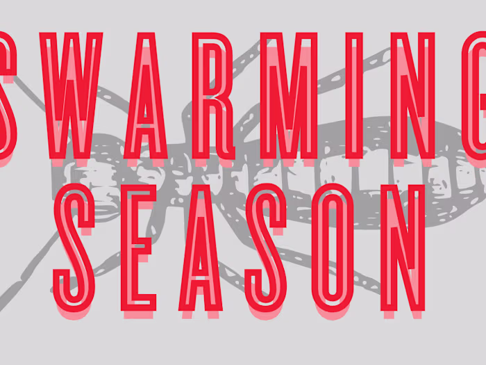 SEO Copywriting: Blog for Service-Based Business