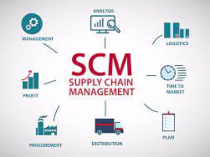 Supply Chain Management Business Plan Sample 2023 | OGScapital