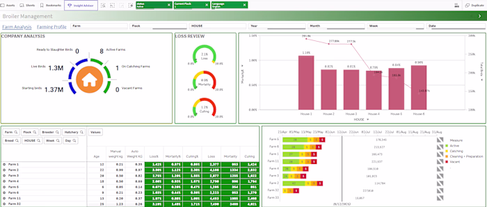 Broiler Management Dashboard Development