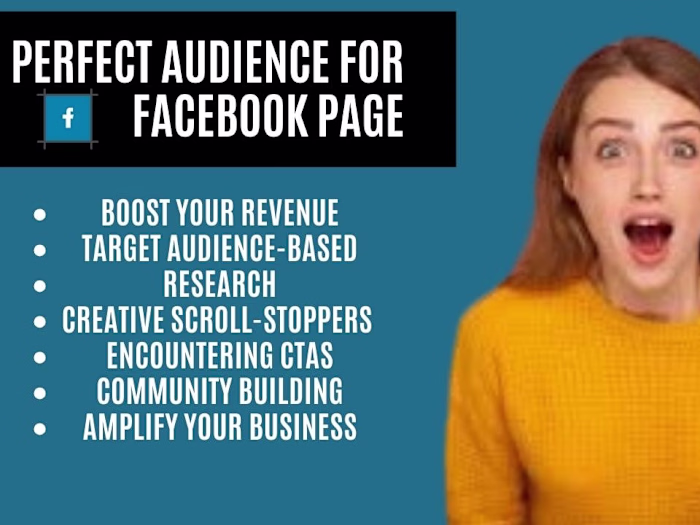 Laser target perfect audience with Facebook ads USA and World