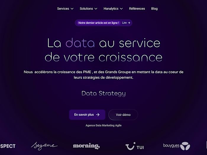 Data Hanalytics – La data au service de votre croissance