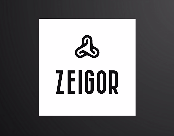 Zeigor - logo design