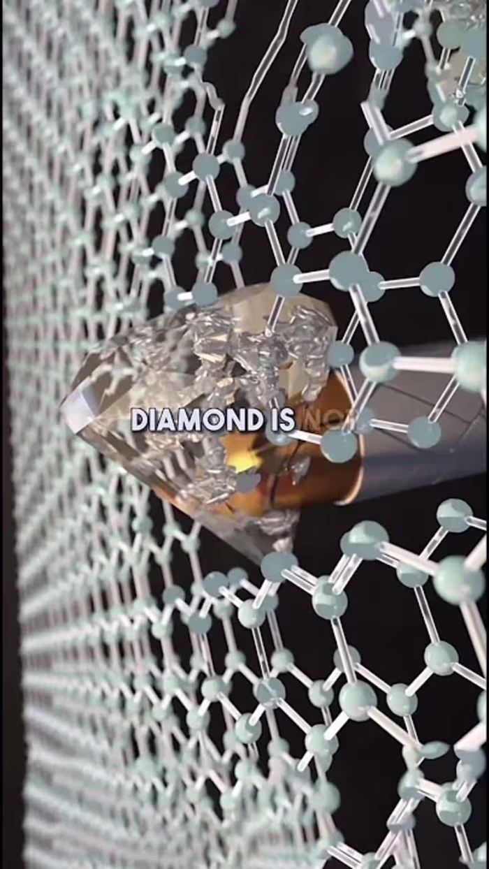 Daily Facts. #random #motivation #intrsting #popular #dailyfact…