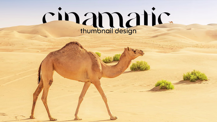 Thumbnail Design For Youtube