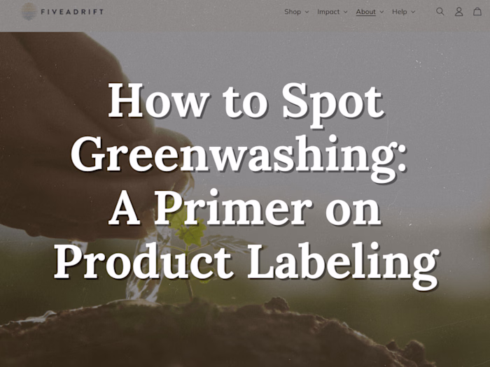 SEO Blog Writing for Sustainability Brand 