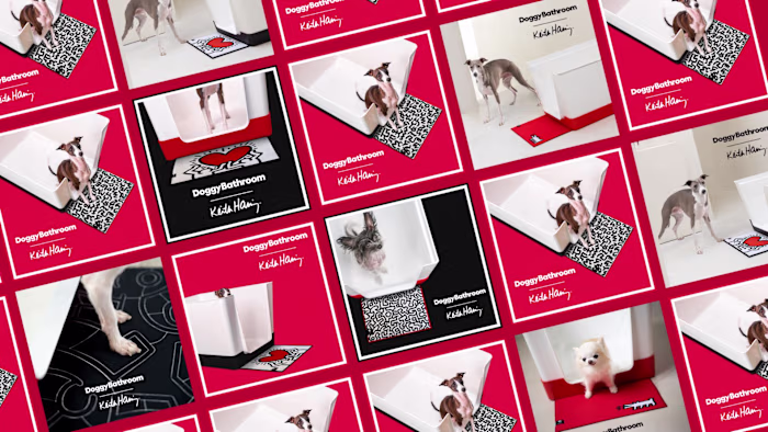 Doggy Bathroom x Keith Haring [International Marketing & PR]