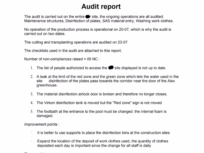 Audit Report