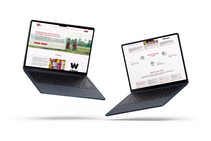 BALM Website Redesign