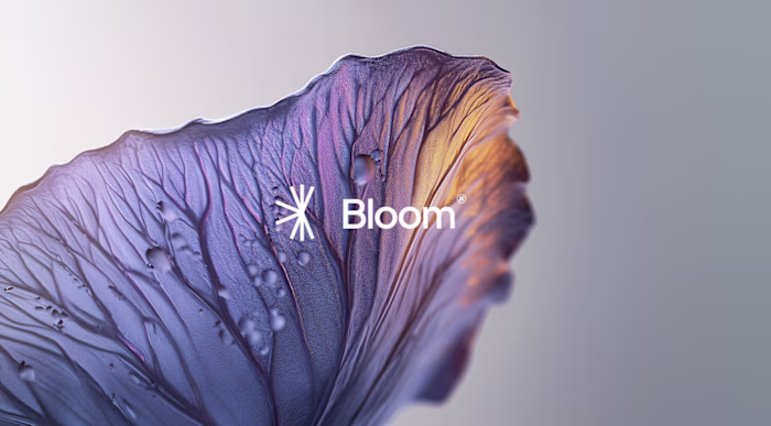 Art Direction and Brand Design