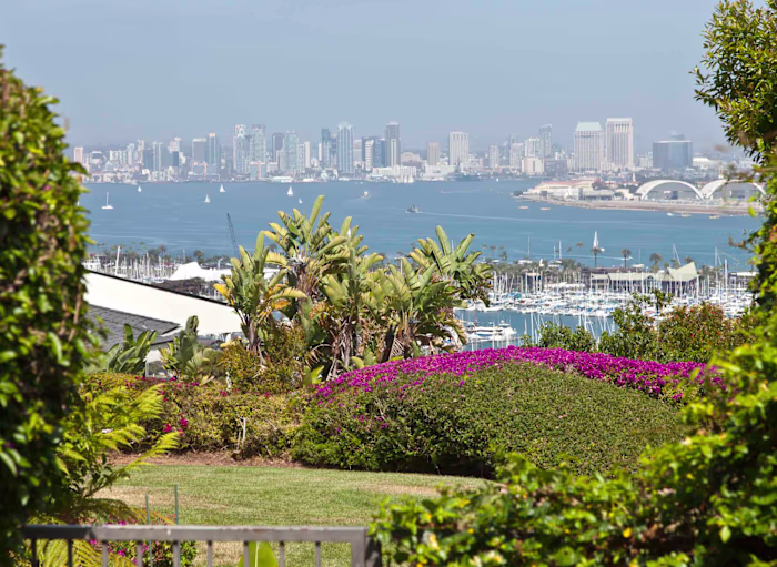 Why Tree Trimming Is Important - Atlas Tree