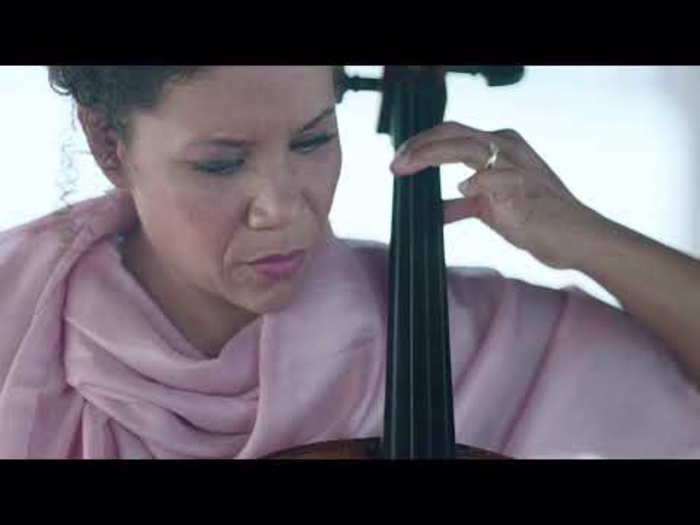 Everything is Slow Motion (Mercury Soul with the De Young)