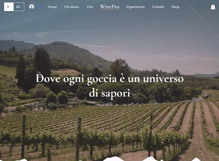 Elegant Web Design for Wineries: Stories and Sales - Wix Studio