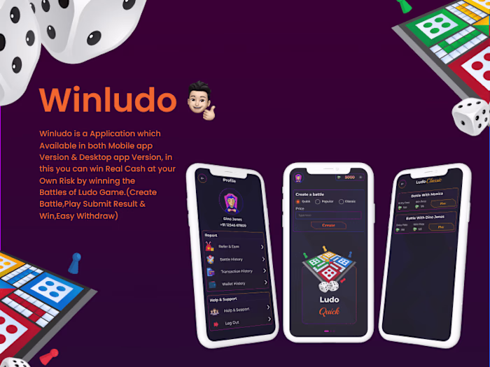 Winludo UI Design (Game Ui)