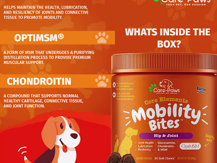 Social Media Marketing  for Care Paws