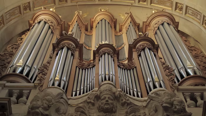 Aubertin Archives - Brand design for craftsmanship