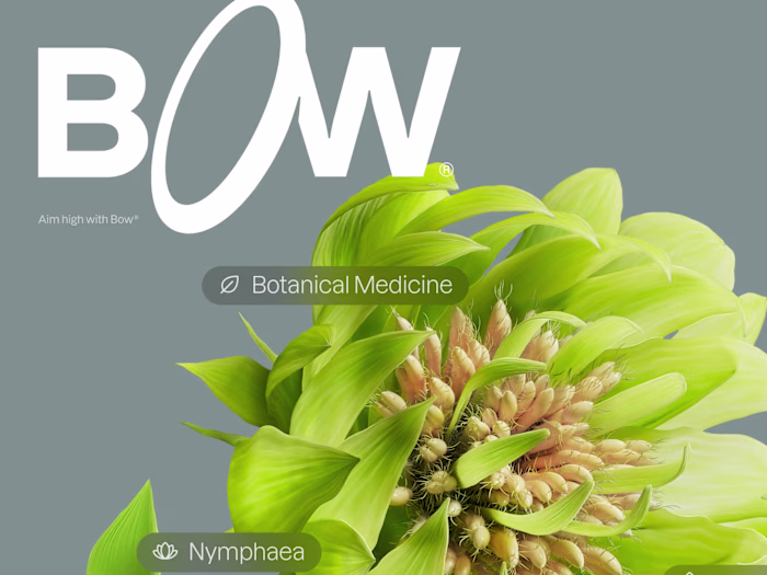 Brand identity and UI/UX for a healthtech startup Bow®