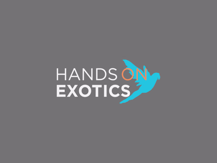 Hands On Exotics: A Strategic Social Media Transformation