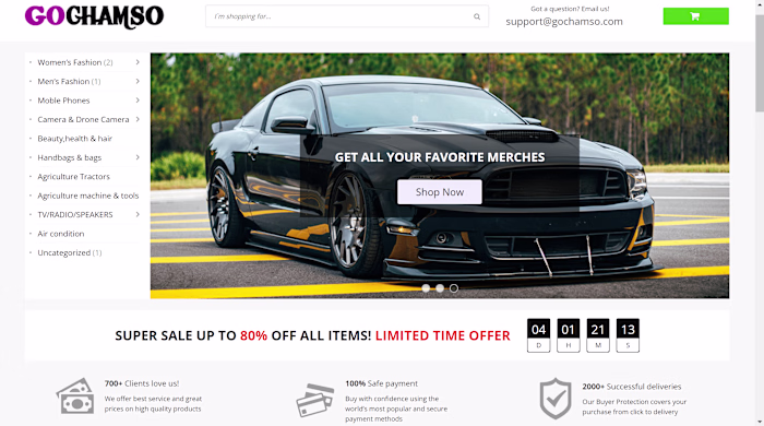 Wordpress Online Store Design