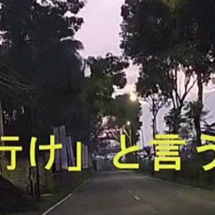 Making a Recap/Vlog Video