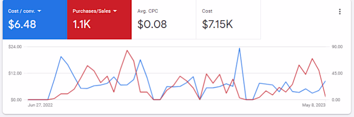 Google Ads Success Story