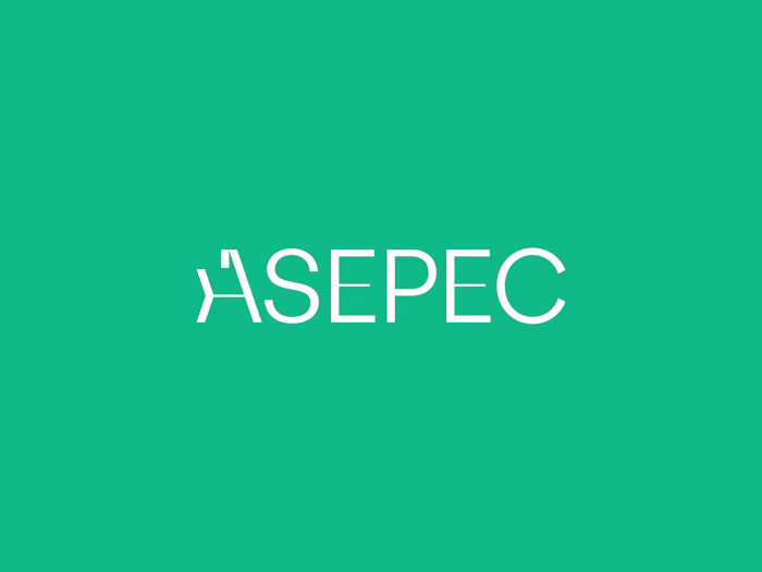 ASEPEC Institutional Visual Identity Design