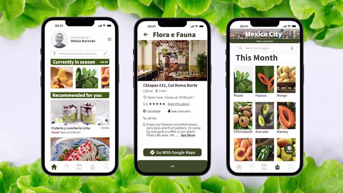 ⚘𖧷 UX / UI Work for Seasons, an App to Eat Seasonally 𖧷 ⚘