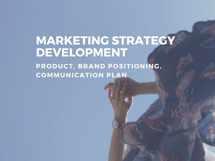 Team lead of a marketing project for fundraising NGO