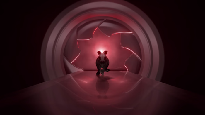 Jackrabbit Media - Motion Graphic Logo