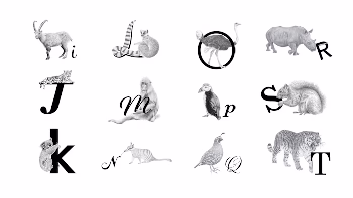 Alphabet Animals