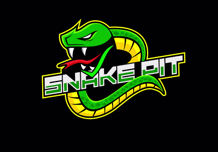 Personal Project : Esports Logo