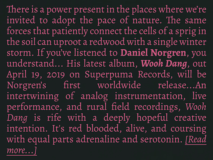 Artist Bio: Daniel Norgren - Wooh Dang (2019)