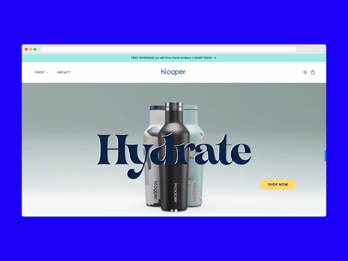 A High-Performing Shopify eCommerce Website Generating Over $10k