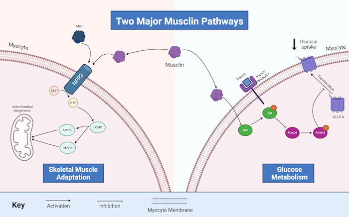 Scientific Editorial