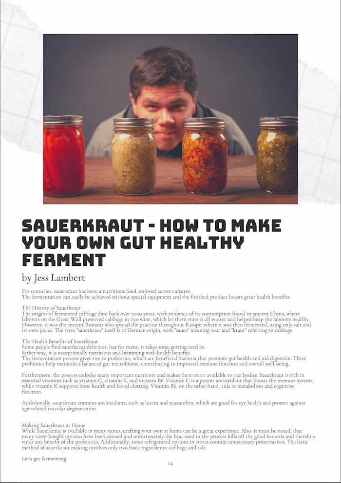 The Modern Day Homemaker Magazine - Article