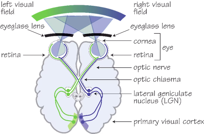 Scientific Literature Review