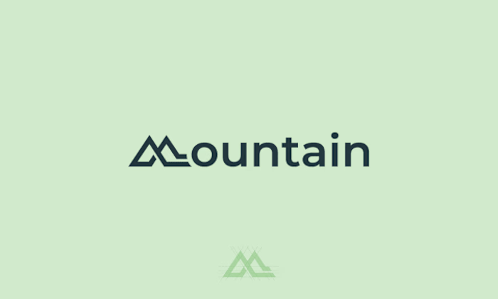 I will design your letter mark logo eye-catching and memorable