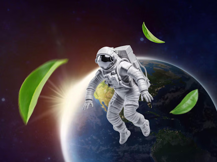 Environmental services