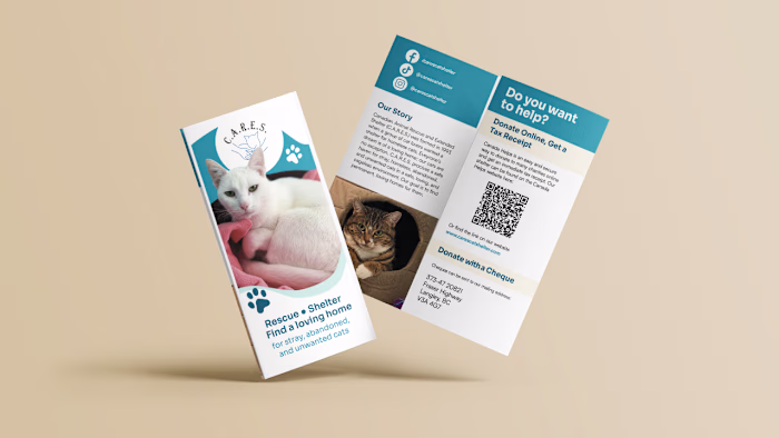 CARES Brochure Revitalization